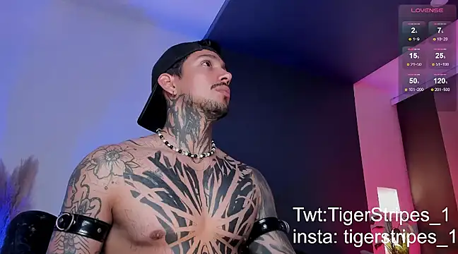 Snapshot of TigerStripes1_ chatting on March 16, 12:56 am TigerStripes1 online show from March 16, 12:56 am