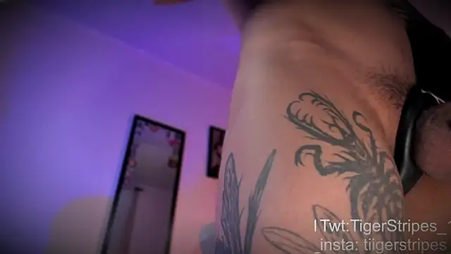 TigerStripes1  online show from April 10, 12:32 pm